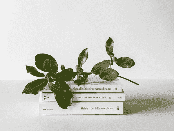 秋思短信轰炸平台